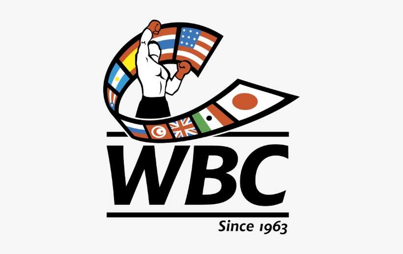 El Consejo Mundial De Boxeo Lleva Años Trabajando En - World Boxing Council, transparent png download