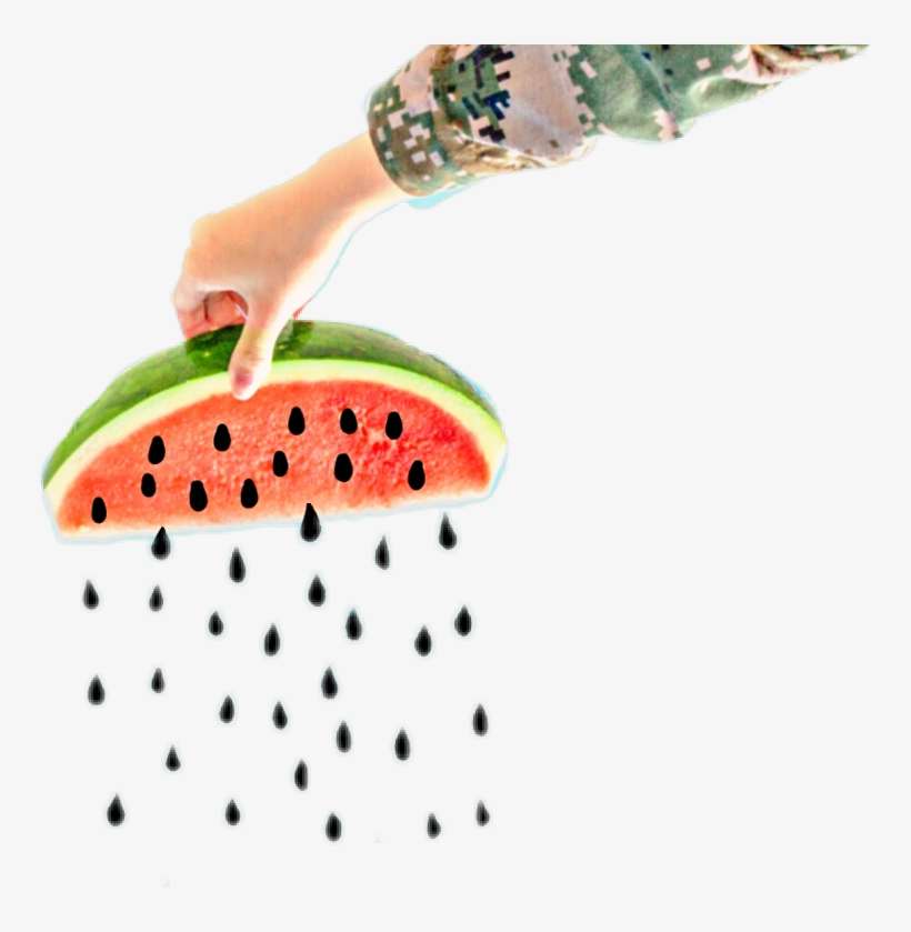 Seedless Fruit, transparent png download