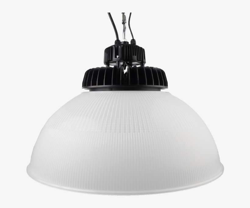 Everlast Lighting Inc., transparent png download