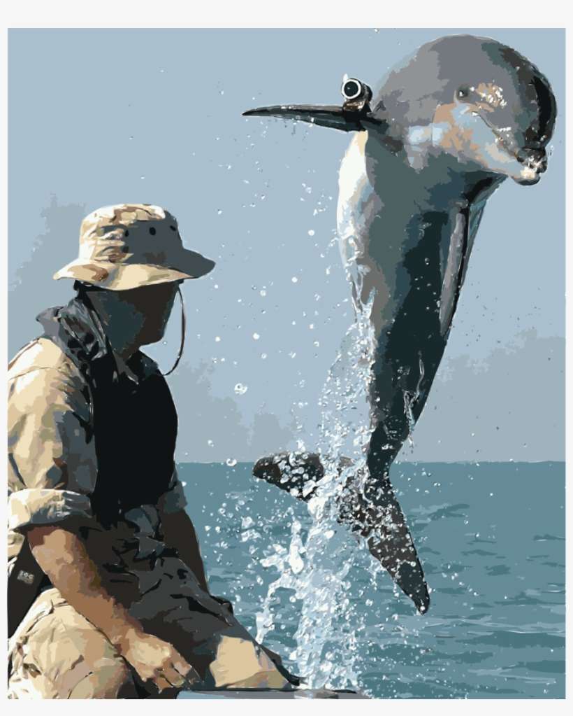 Navy Dolphins Clipart Military Dolphin United States - Military Dolphins, transparent png download