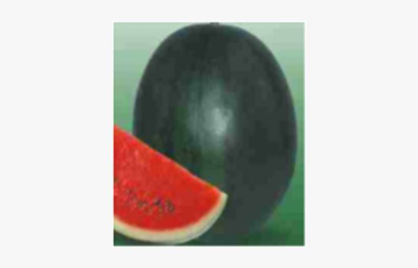Watermelon F1 - Black Magic - Watermelon, transparent png download