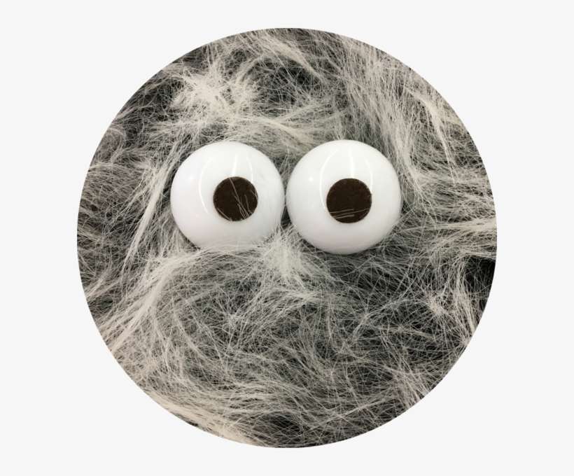 Fake Fur, transparent png download