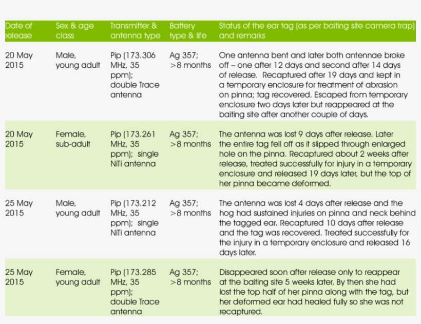 Details Of 2015 Pygmy Hog Ear Tagging Experiment In - Remarks Status In Table, transparent png download