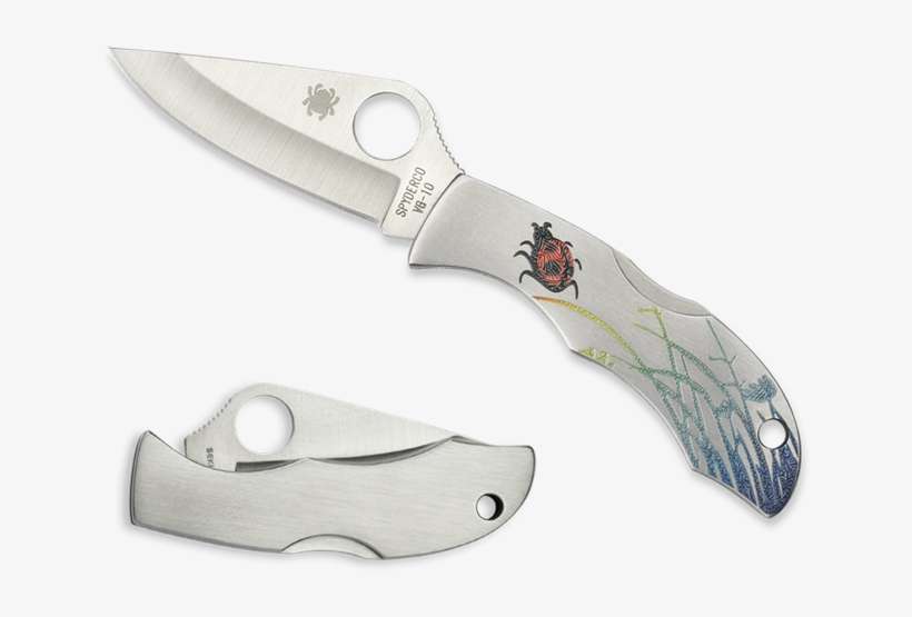 Spyderco Ladybug 3 Stainless Steel Tattoo Folding Knife - Spyderco Ladybug 3, Tattoo, Stainless Steel Handle,, transparent png download
