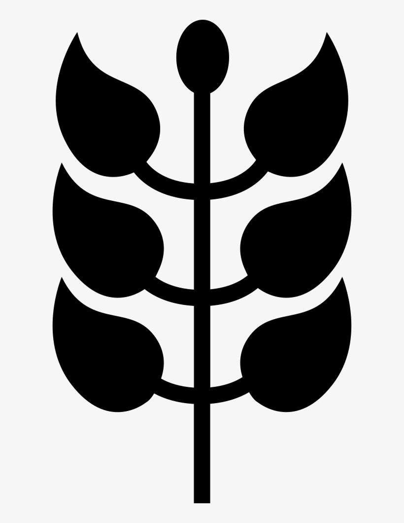 Branch With Leaves - Branch, transparent png download