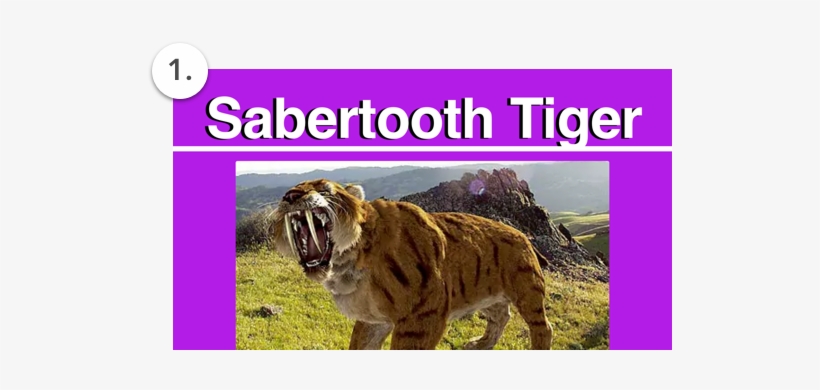 Resilience Is Really Important For Dyslexics Because - Saber Toothed Cat Extinct, transparent png download