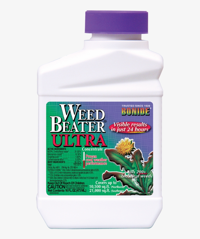 Growing Cold Hardy, High Desert Trees, Shrubs & Perennials - Weed Beater, transparent png download