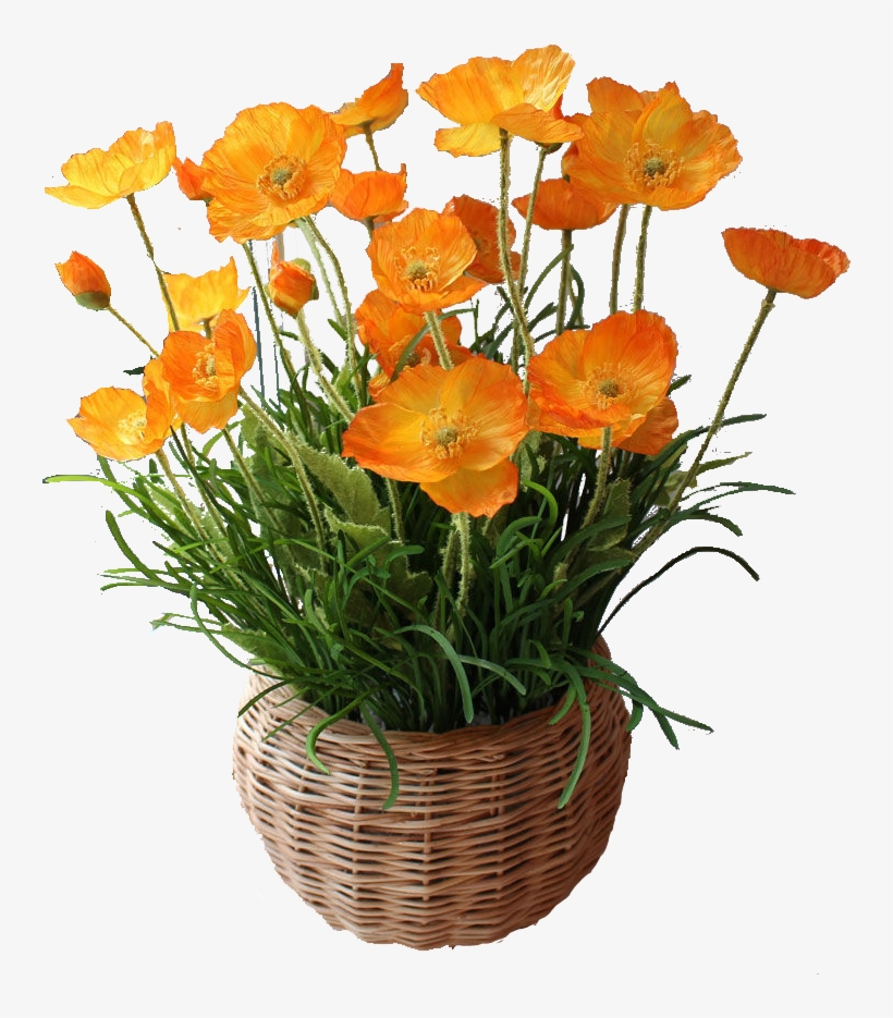 Plant Flower Cutout Png, transparent png download