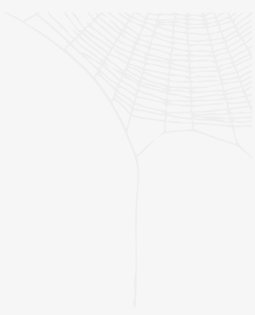 Umbrella, transparent png download