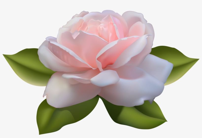 Beautiful Pink Rose With Leaves Image Gallery Yopriceville - Pink Rose With Leaves, transparent png download