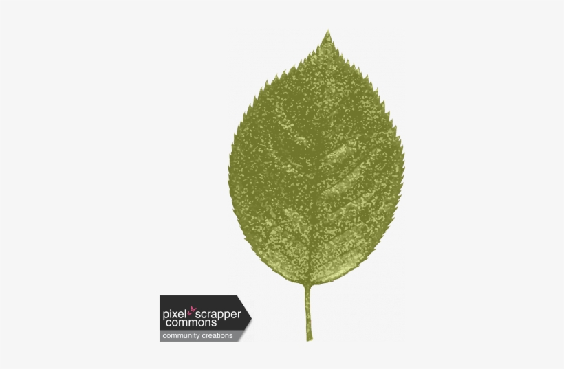 Grunge And Roses - Digital Scrapbooking, transparent png download