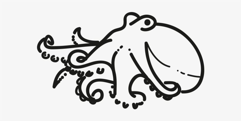 Octopus, transparent png download