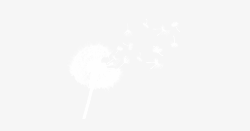Dandelion Seeds Transparent1 - Cremation, transparent png download