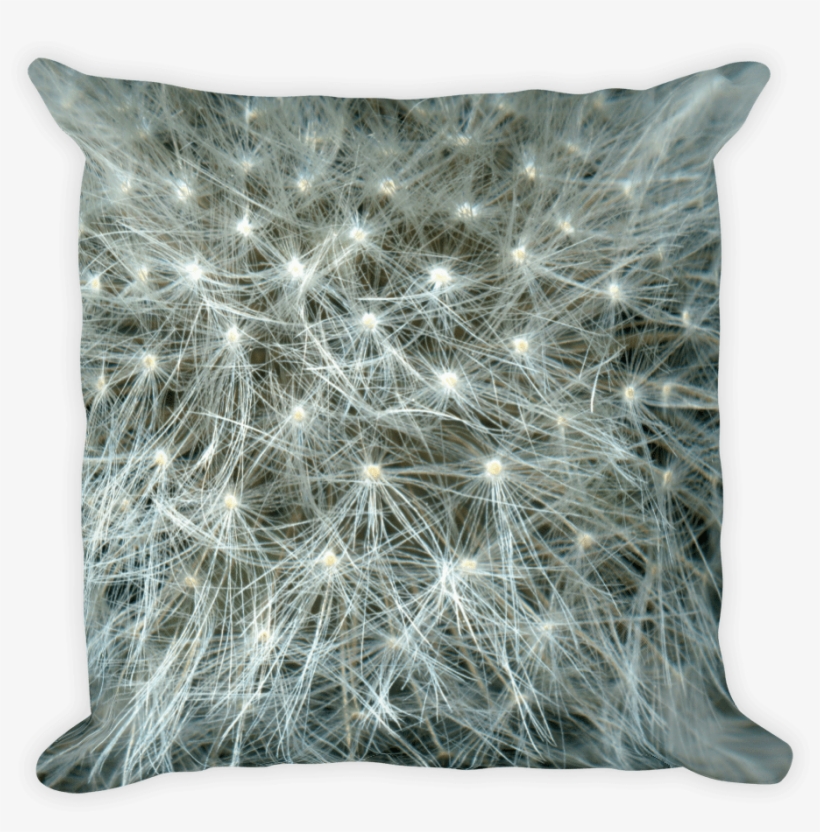 Dandelion Seeds Pillow - Throw Pillow, transparent png download