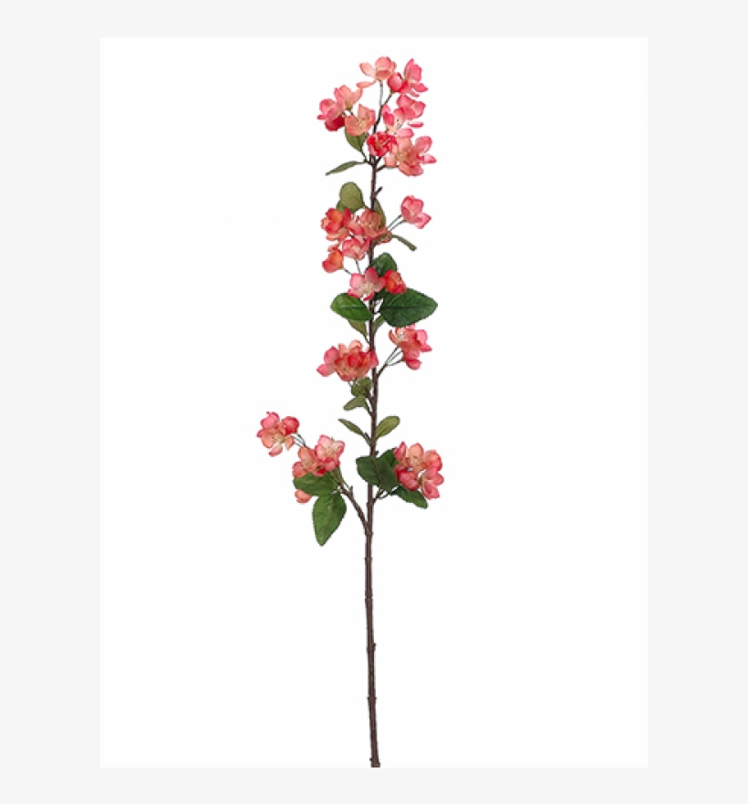 42" Apple Blossom Spray Two Tone Coral - Allstate 42" Apple Blossom Stem, Two Tone Coral, transparent png download