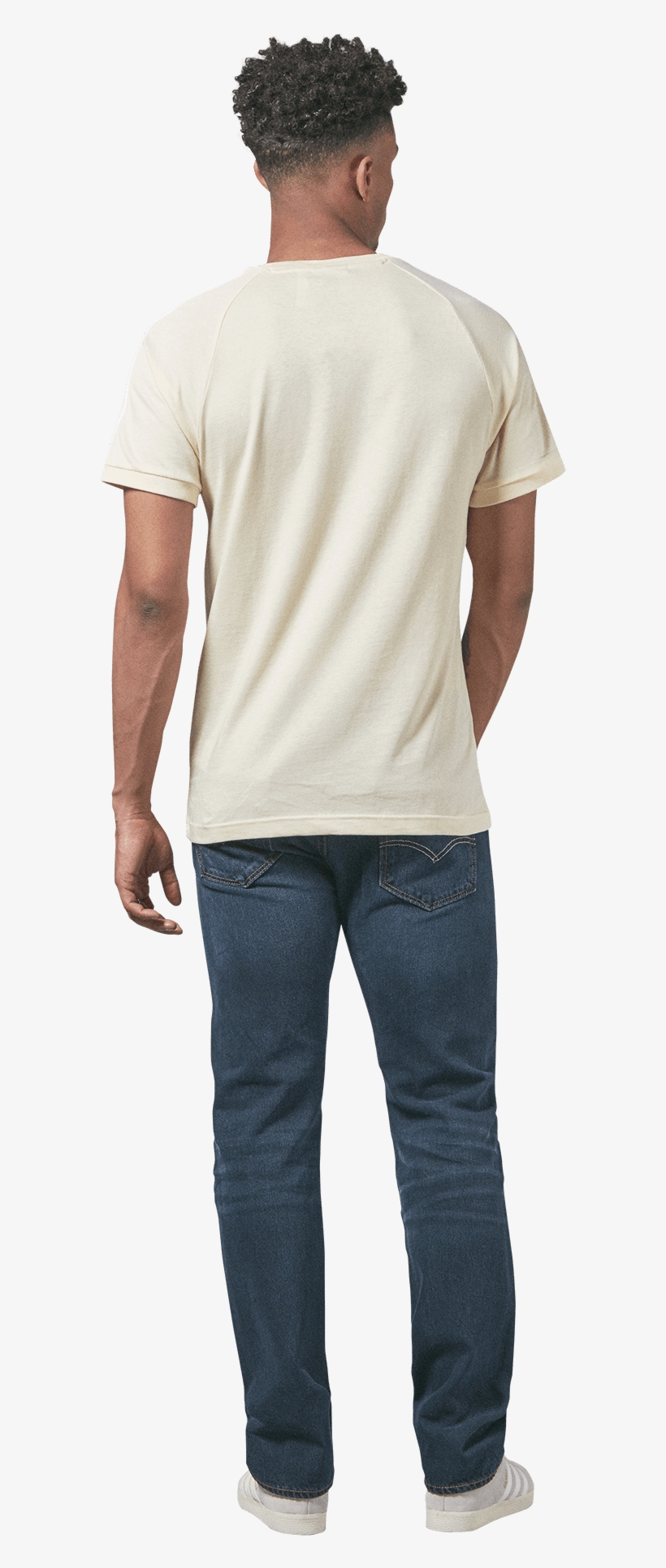 1 - Canvas, transparent png download