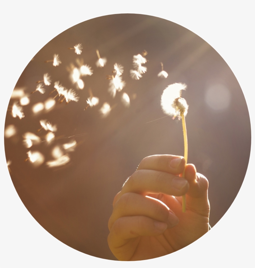 Noticing Thoughts Release Mindfully, transparent png download