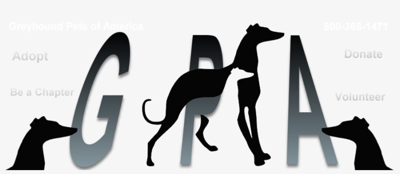 Threedogs - Greyhound Pets Of America, transparent png download