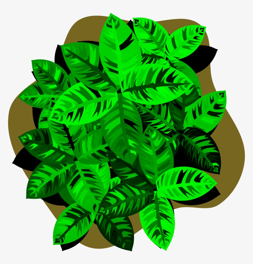 Four-leaf Clover Luck Lawn - Toronto, transparent png download