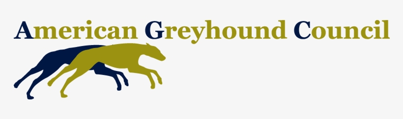 American Greyhound Council Factual Information On Greyhound, transparent png download