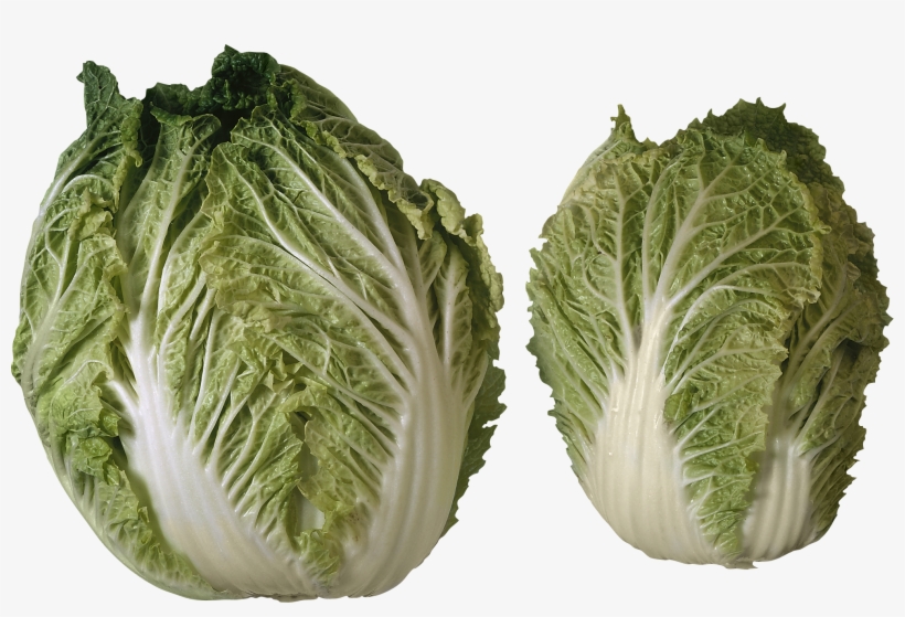 2 Heads Of Lettuce, transparent png download
