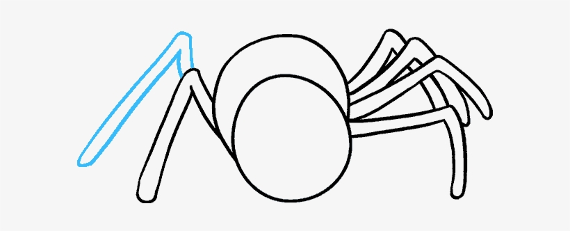 How To Draw Cartoon Spider - Drawing, transparent png download