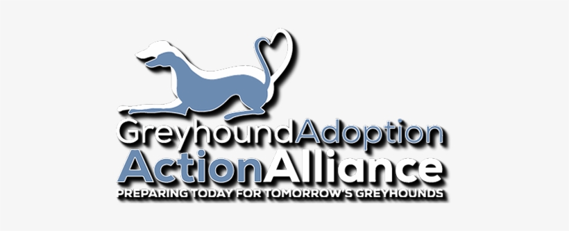 Greyhound Adoption Action Alliance® • Copyright - Home, transparent png download