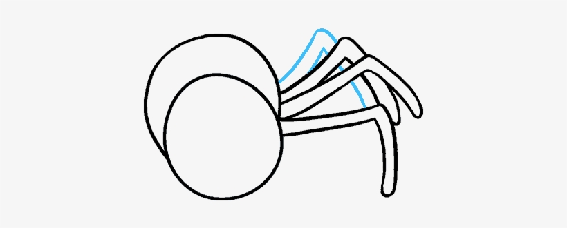How To Draw Cartoon Spider - Drawing, transparent png download