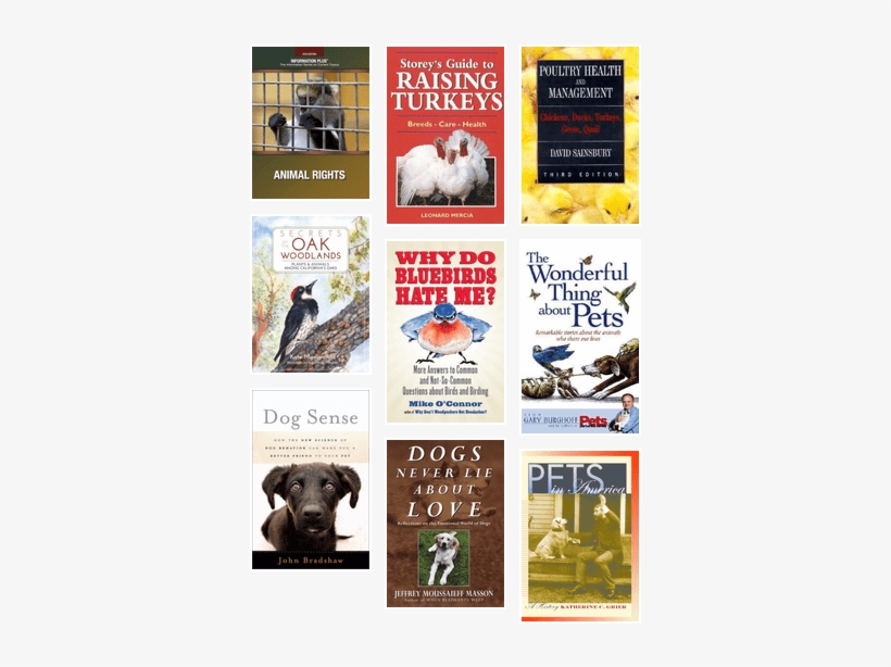 Pets & Animals - Do Bluebirds Hate Me?: More Answers Bout Birds And, transparent png download