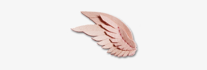 Lex & Liv Swan Wing Hair Clip On Dlk - Barrette, transparent png download
