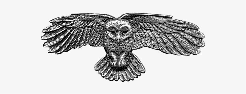 Hair Clip - Hair Clip | Barrette | Owl, transparent png download