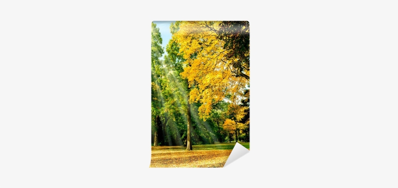Autumn, transparent png download