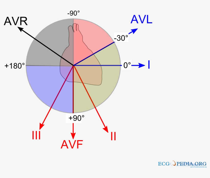 Ecg Lead Angulation - Ecg Heart Axis, transparent png download