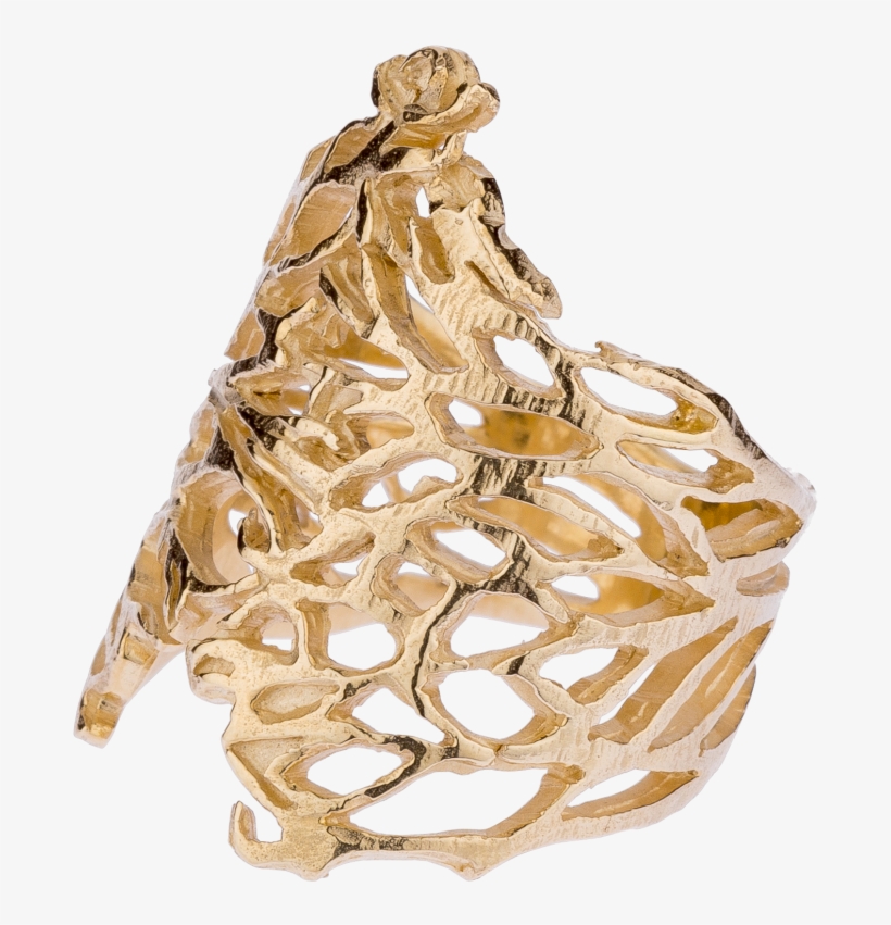 Thorn Bush Rings - Ring, transparent png download