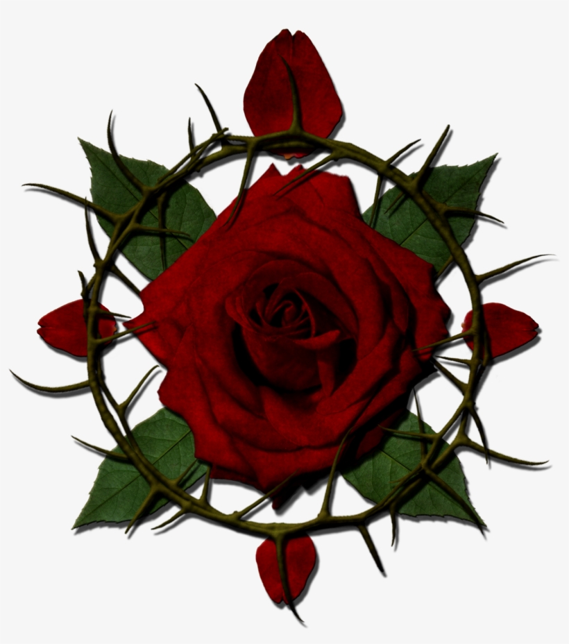 Rose And Thorn Clipart
