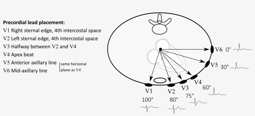 Http - //www - Nataliescasebook - Leads - Circle, transparent png download