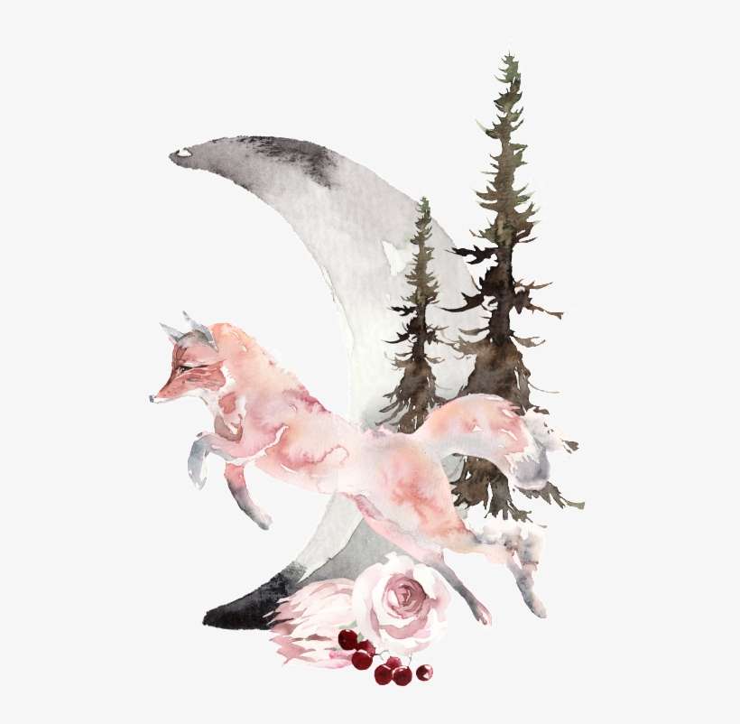 Creative Fox Diseño Png Transparente Acuarela - Watercolor Painting, transparent png download