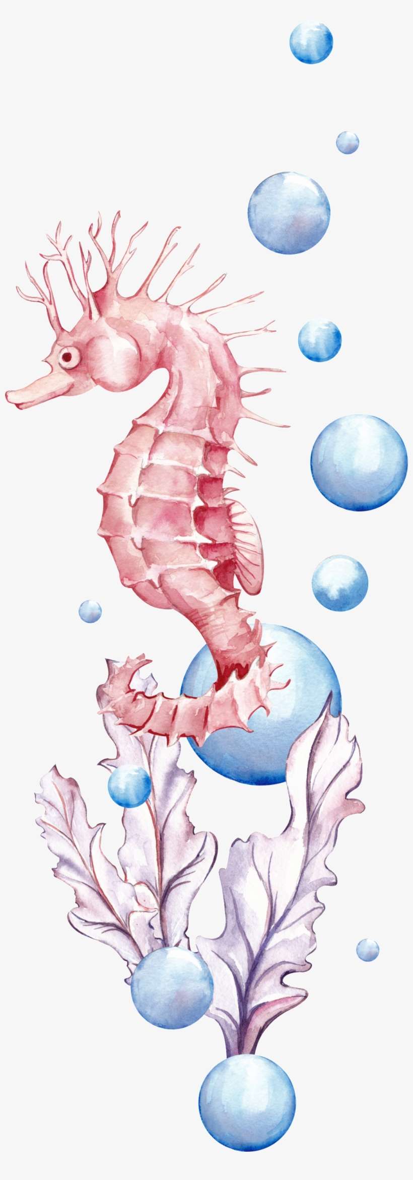 Deep Sea Hippocampus Cartoon Transparent - Illustration, transparent png download