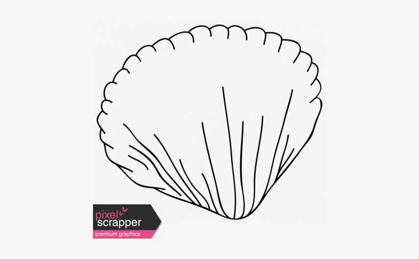Cartoon Shell Template - Compass Doodle, transparent png download