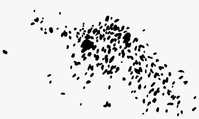 Chris Carfolite - “ - Illustration, transparent png download