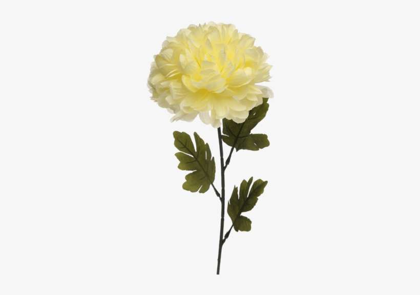 Single Ball Mum Artificial Flower Stem - Flower With Stem Transparent, transparent png download