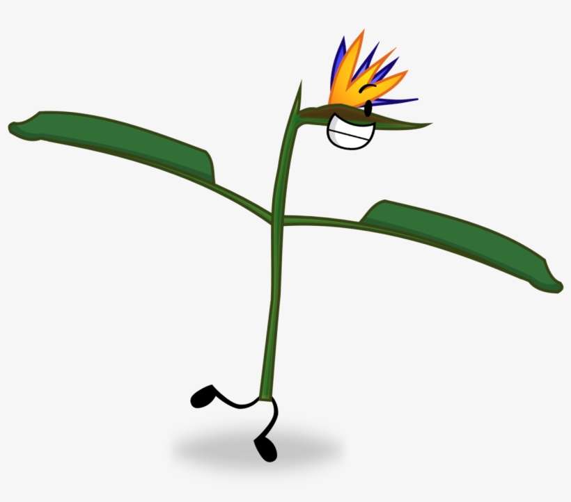 Crane Flower - Bird Of Paradise Flower, transparent png download