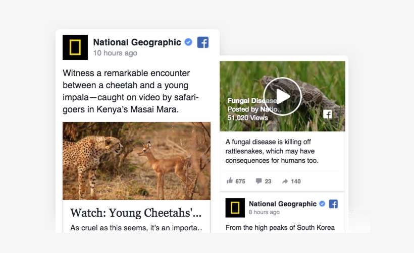 Aggregate And Display Social Media Feeds From Facebook, - Red Wolf, transparent png download