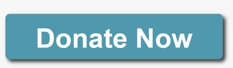 Picture - Donate Now, transparent png download
