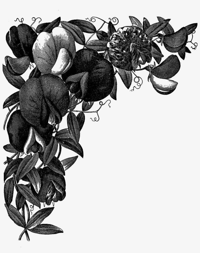 Digital Flower Corner Design Downloads ,png - Drawing, transparent png download