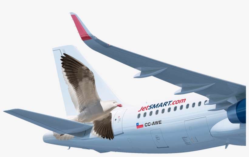Y Presentes En Toda La Costa De Nuestro País, El Airbus - Avion Jetsmart Png, transparent png download