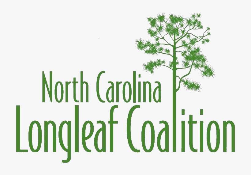 Mon Nov 26 2018 - North Carolina, transparent png download