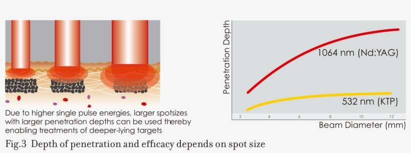 Bild-3 - Spot Size And Fluence Laser, transparent png download