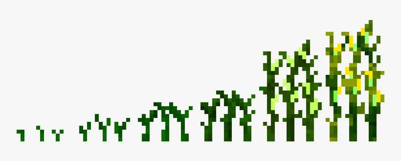 Maize - Terrafirmacraft Sugarcane, transparent png download