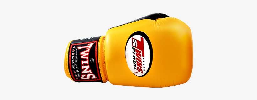 Boxing Gloves - Pink Twins Boxing Gloves, transparent png download